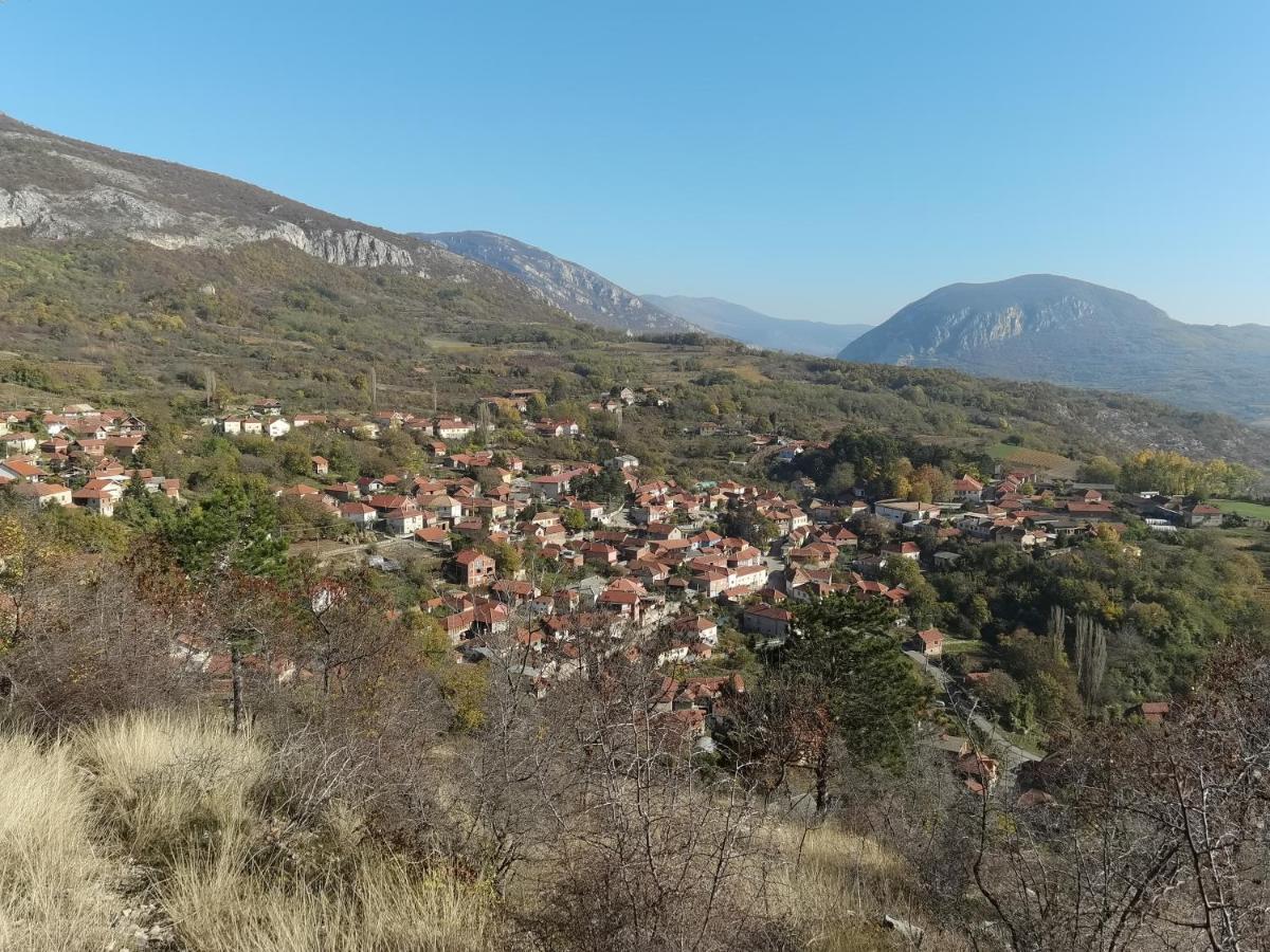 Konak -Guest House -Ramonda Serbika Ниш Экстерьер фото