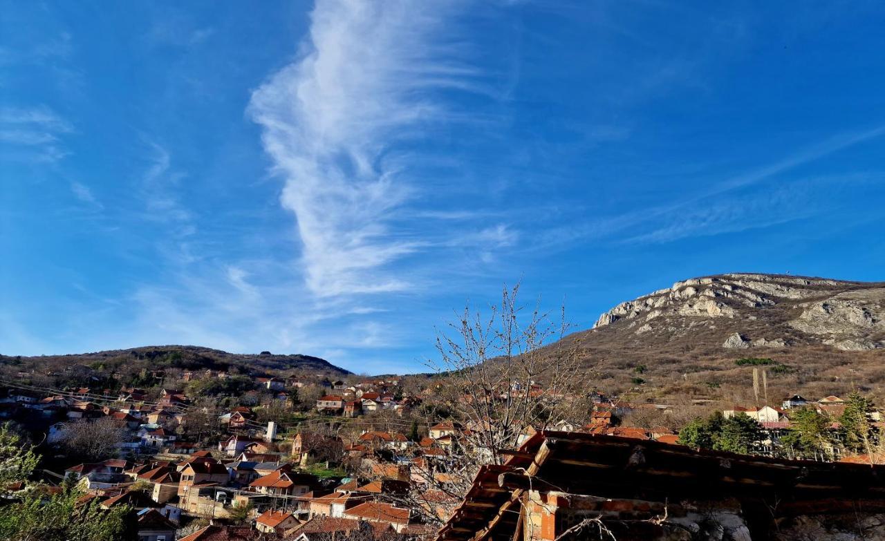 Konak -Guest House -Ramonda Serbika Ниш Экстерьер фото